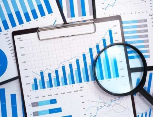 Business births and deaths 2024